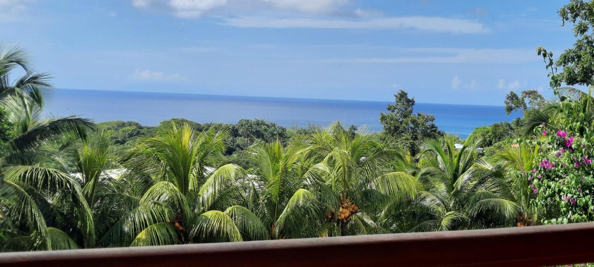 Villa Oasis De Grande Anse Deshaies Exterior foto