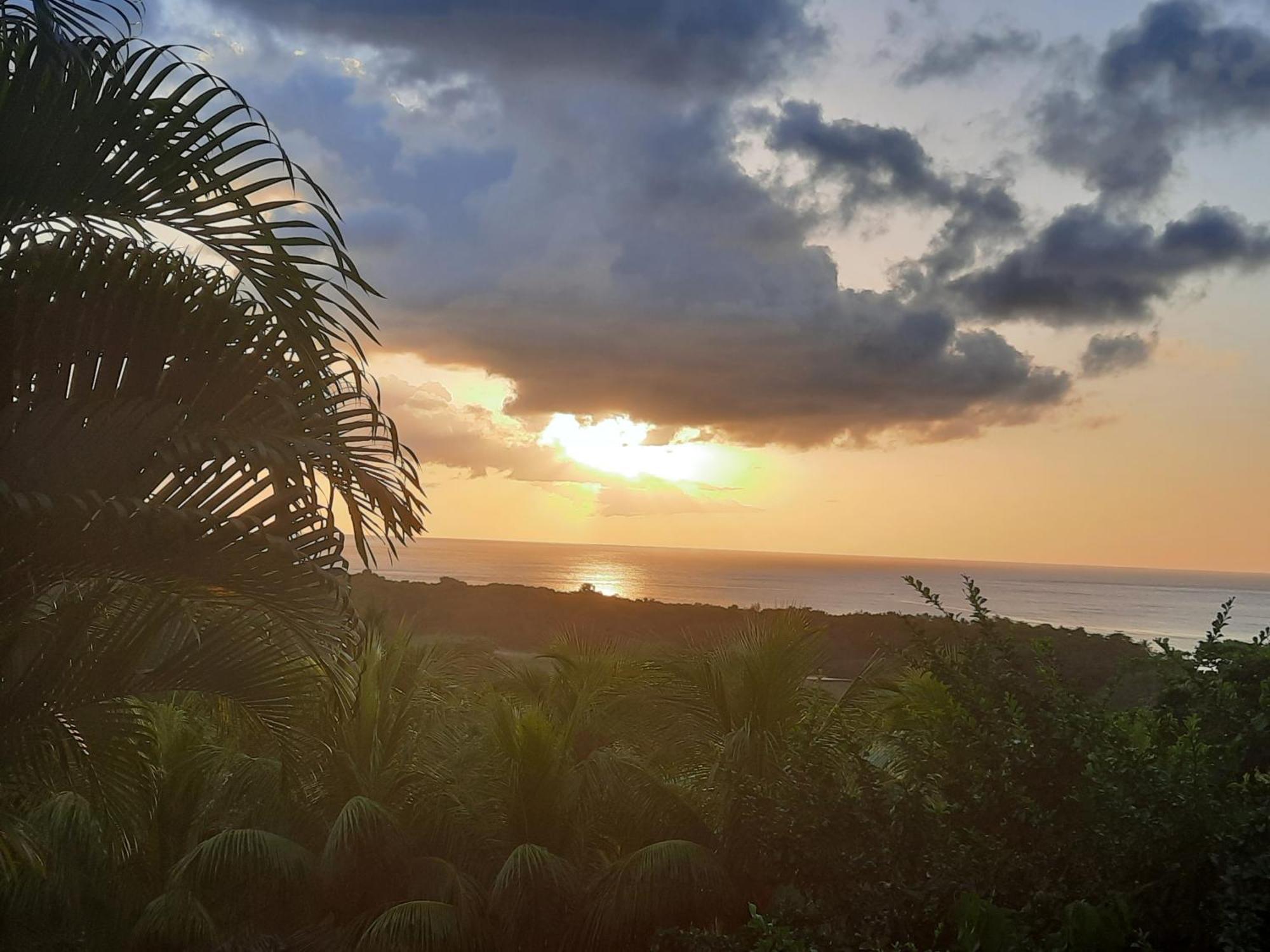 Villa Oasis De Grande Anse Deshaies Exterior foto