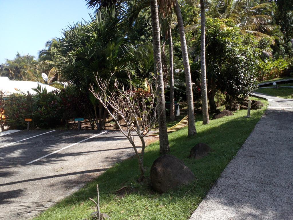 Villa Oasis De Grande Anse Deshaies Exterior foto