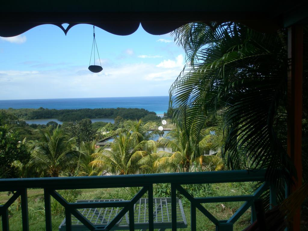 Villa Oasis De Grande Anse Deshaies Exterior foto