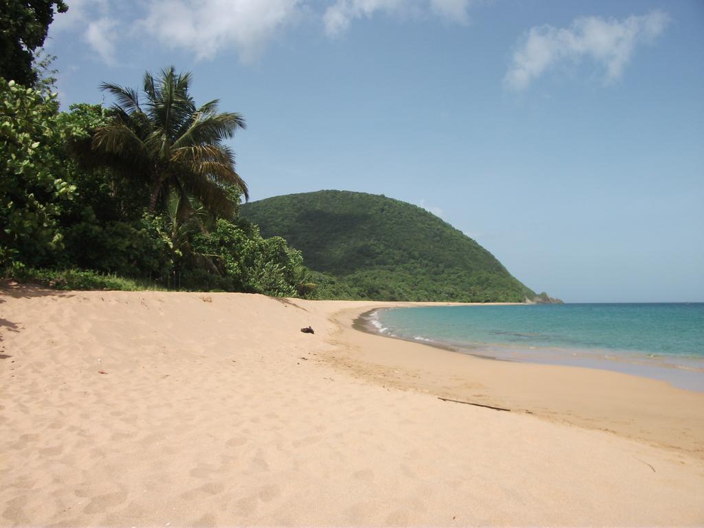 Villa Oasis De Grande Anse Deshaies Habitación foto