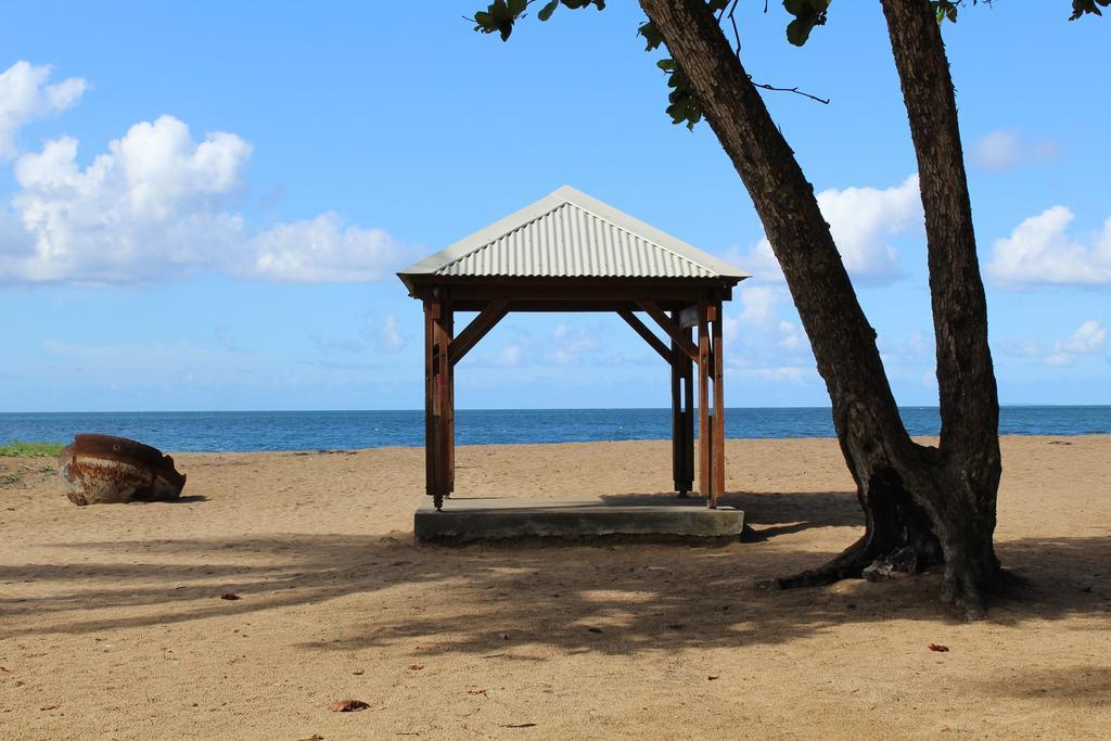 Villa Oasis De Grande Anse Deshaies Exterior foto