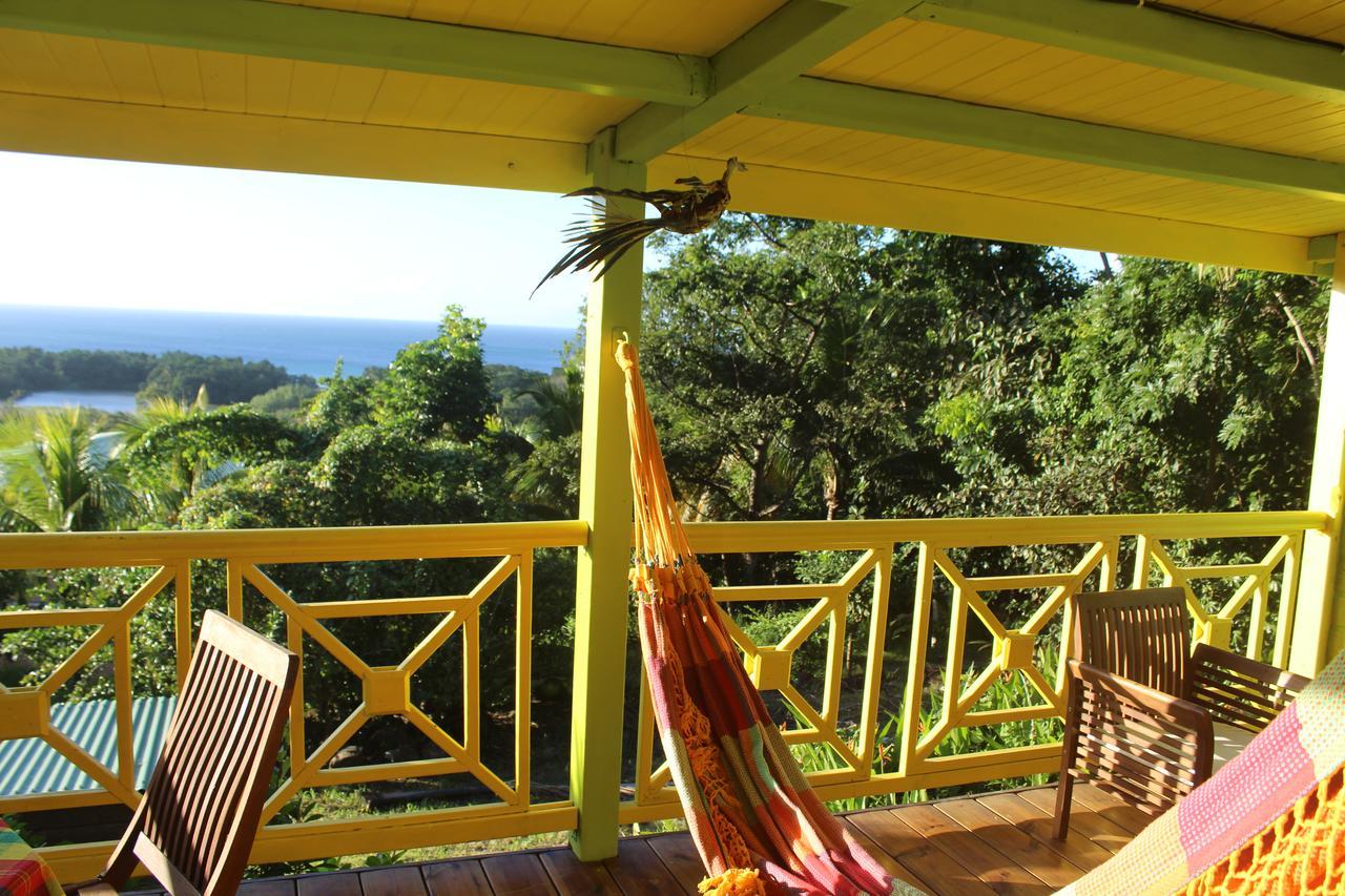Villa Oasis De Grande Anse Deshaies Exterior foto