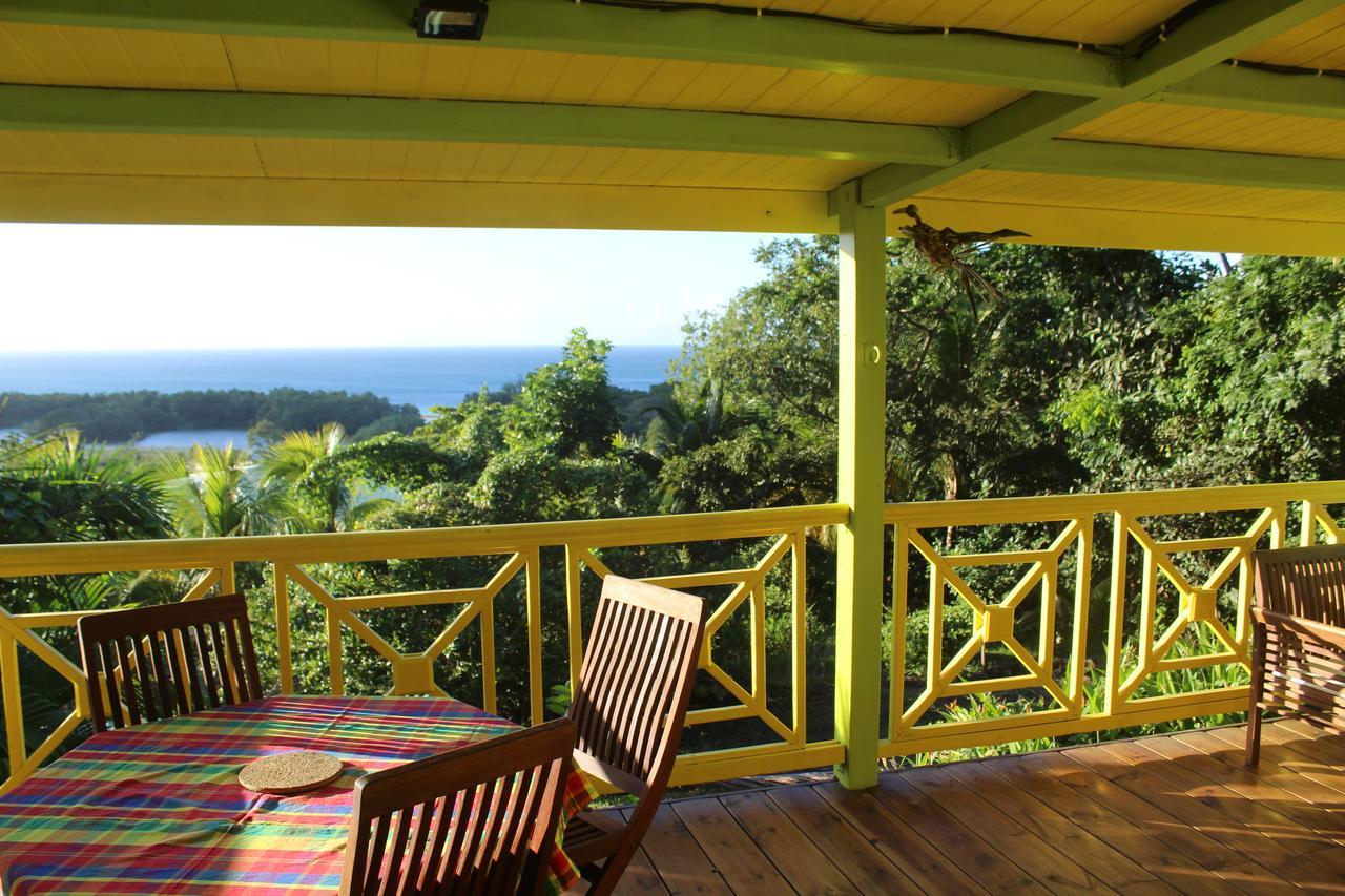 Villa Oasis De Grande Anse Deshaies Exterior foto