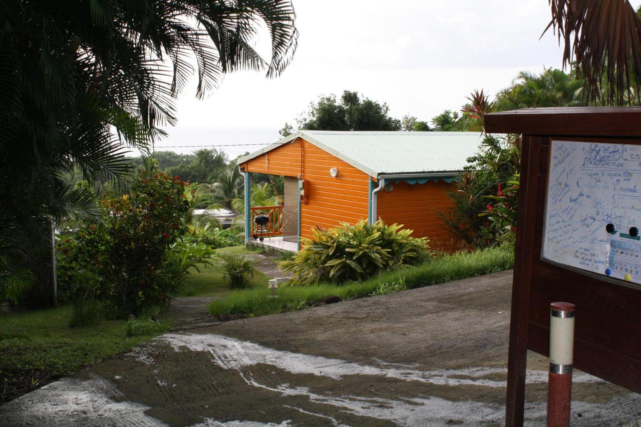 Villa Oasis De Grande Anse Deshaies Exterior foto